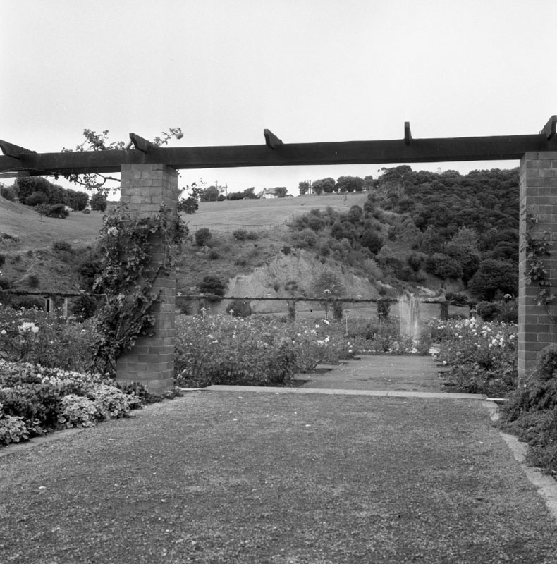 h. Clay Bank - Botanic Garden, rose garden