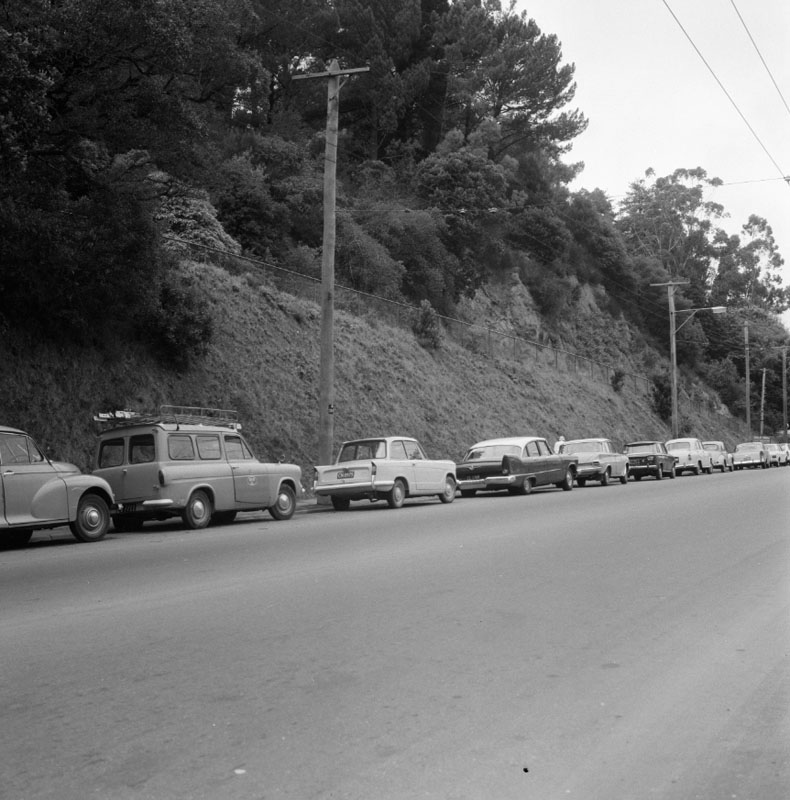 i. Clay Bank - Botanic Garden, rose garden