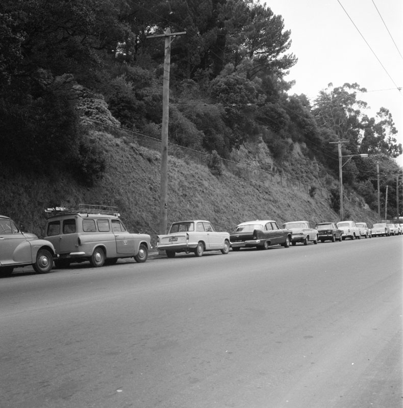 j. Clay Bank - Botanic Garden, rose garden