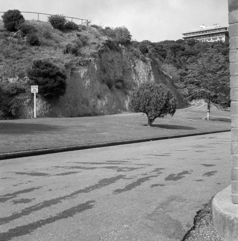 m. Clay Bank - Botanic Garden, rose garden