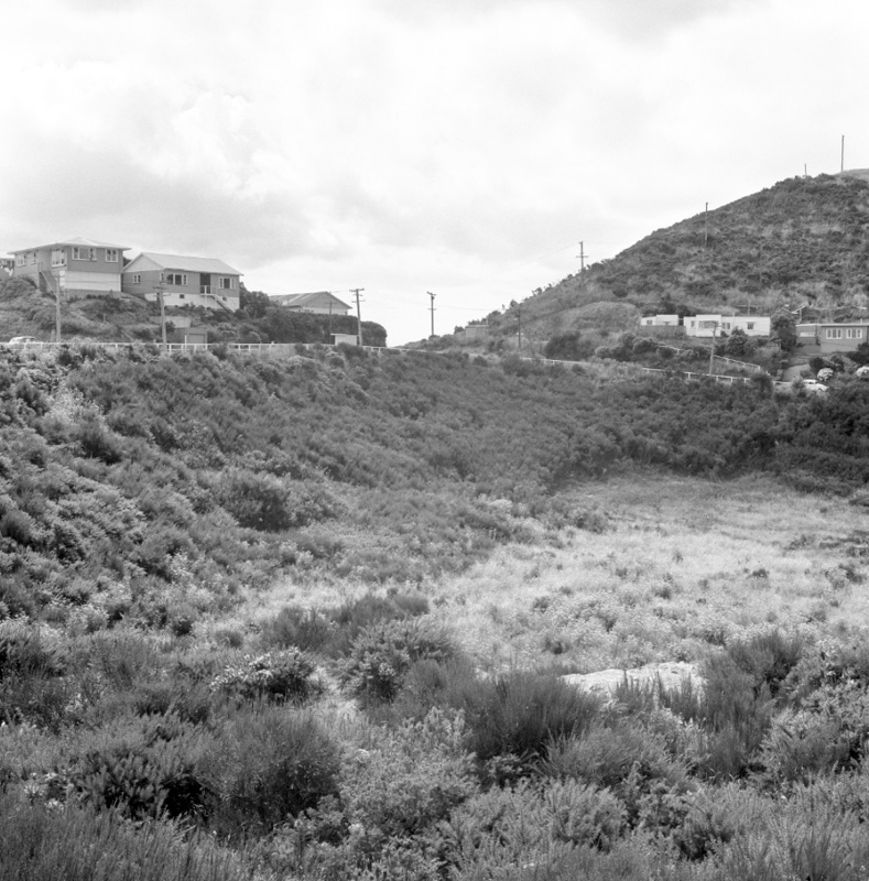 a. Part of panorama, Houghton Bay Tip