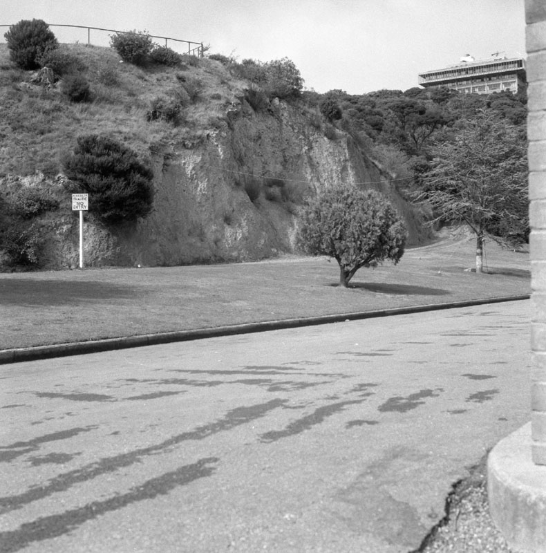 n. Clay Bank - Botanic Garden, rose garden