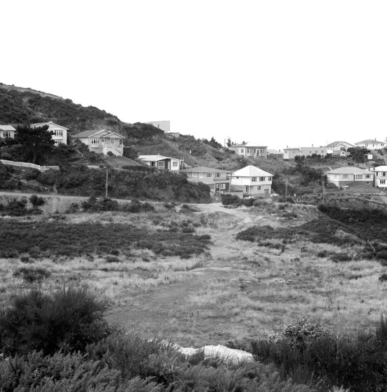c. Part of panorama, Houghton Bay Tip