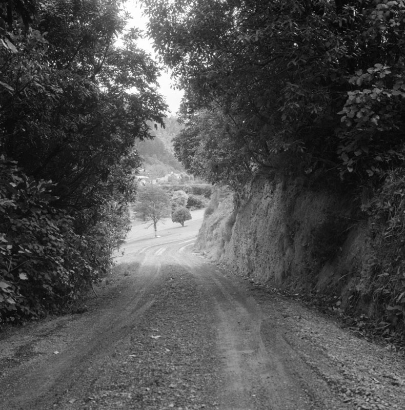 p. Clay Bank - Botanic Garden, rose garden