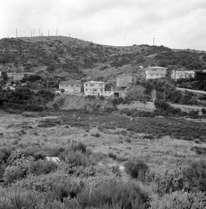 d. Part of panorama, Houghton Bay Tip