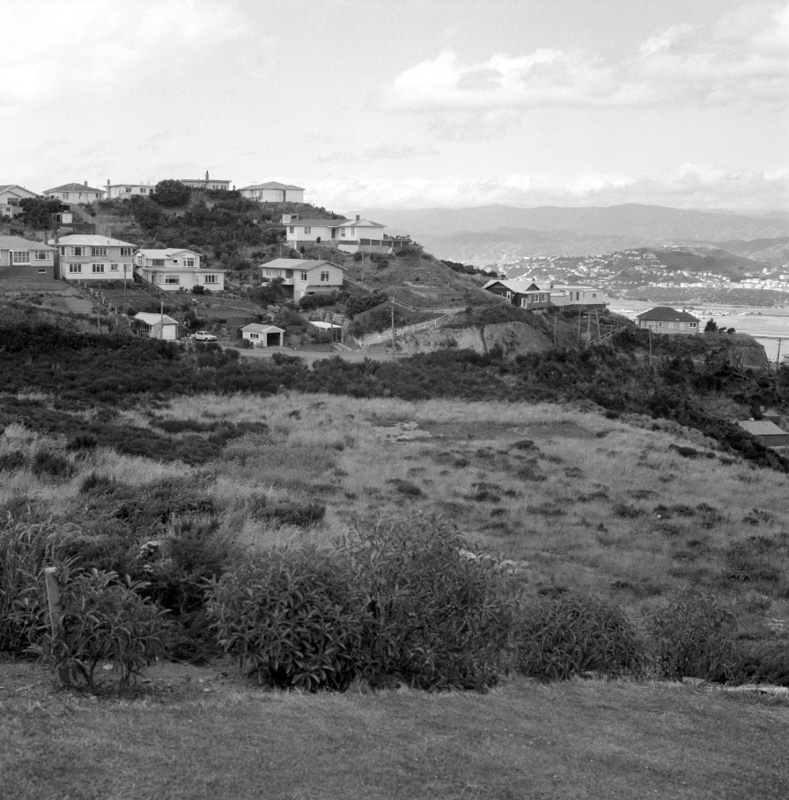 f. Part of panorama, Houghton Bay Tip