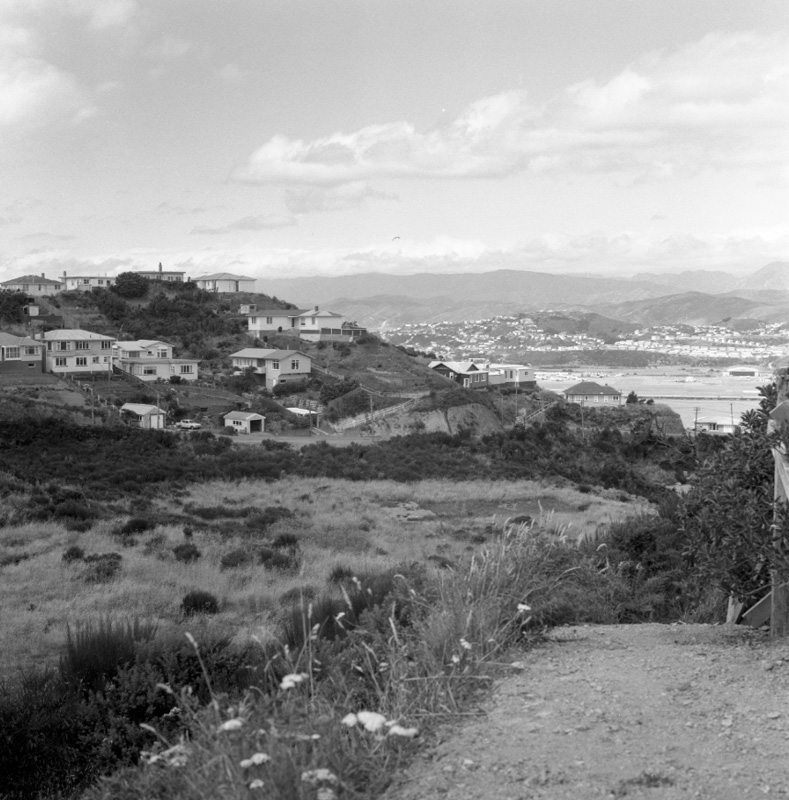 g. Part of panorama, Houghton Bay Tip