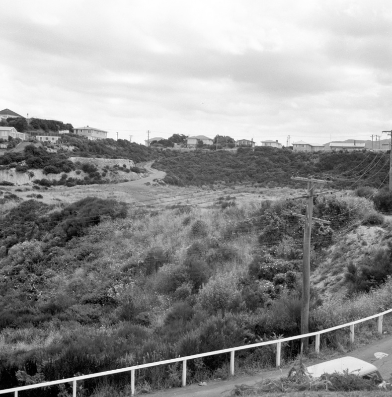 i. Part of panorama, Houghton Bay Tip