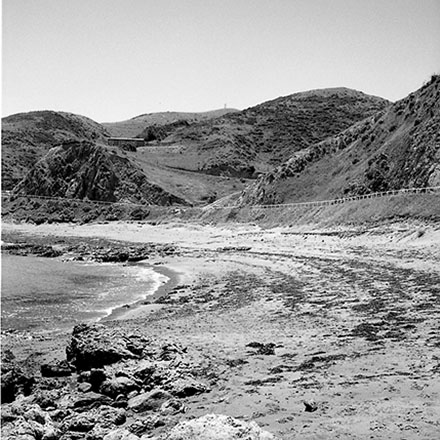 b. Seascape, Princess Bay