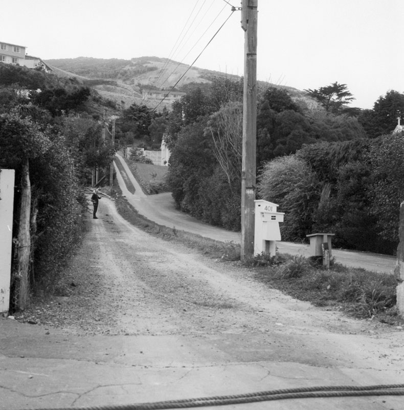 b. No 407 Karori Rd, access and trees