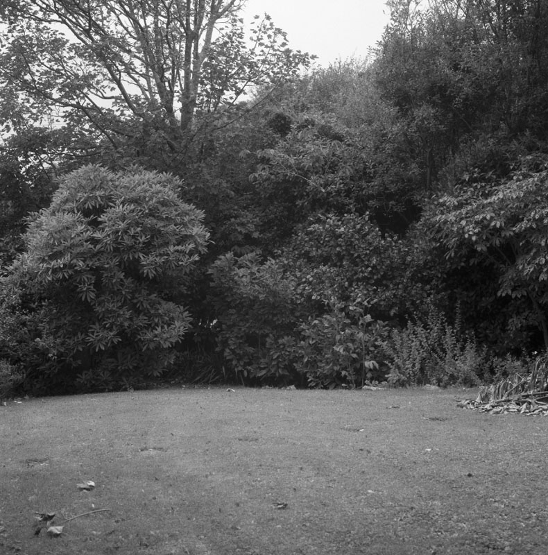 c. No 407 Karori Rd, access and trees