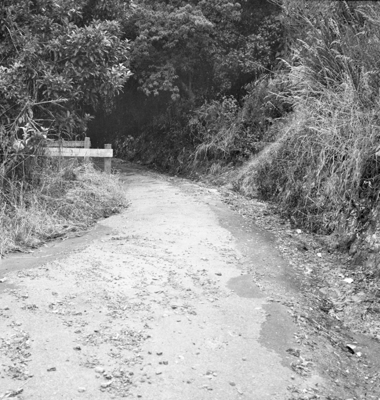 a. Bridle Track, Khandallah to Kaiwharawhara