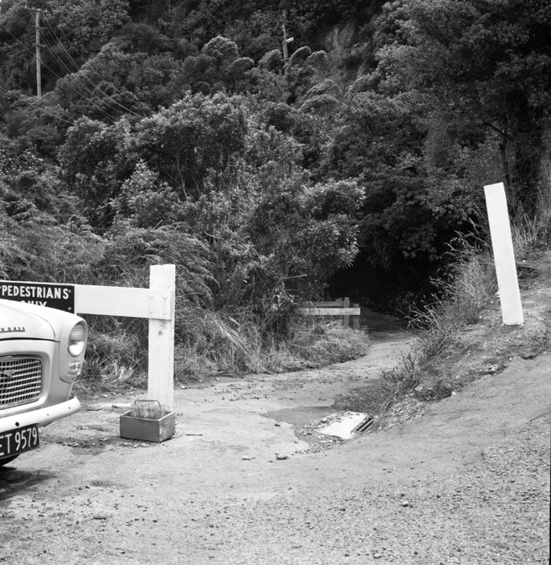 b. Bridle Track, Khandallah to Kaiwharawhara