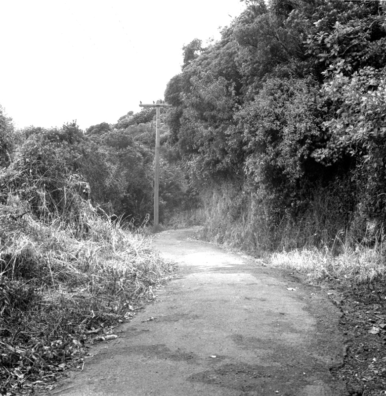 c. Bridle Track, Khandallah to Kaiwharawhara