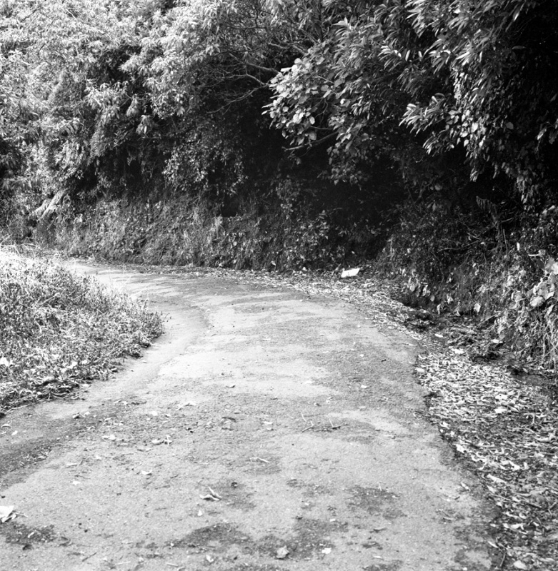 d. Bridle Track, Khandallah to Kaiwharawhara