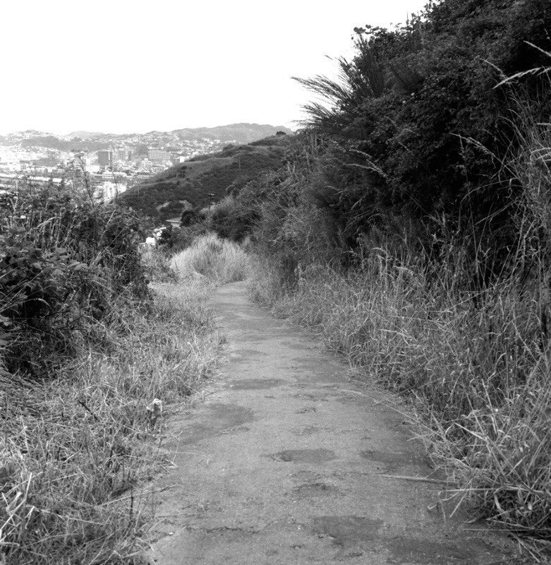 e. Bridle Track, Khandallah to Kaiwharawhara