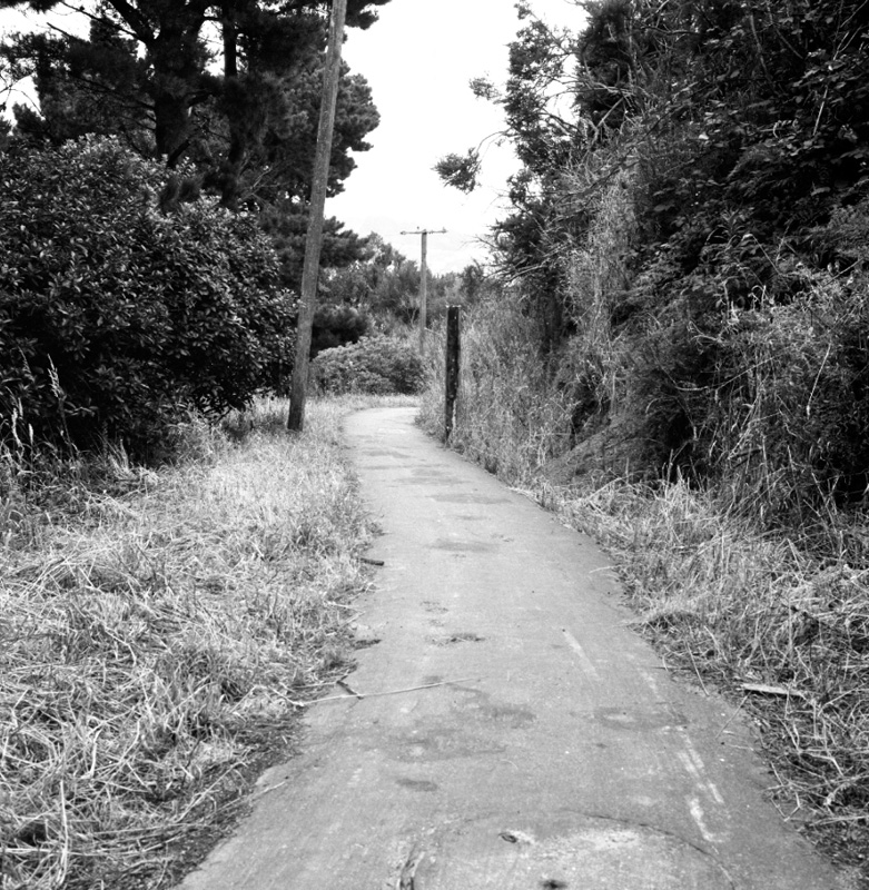 f. Bridle Track, Khandallah to Kaiwharawhara