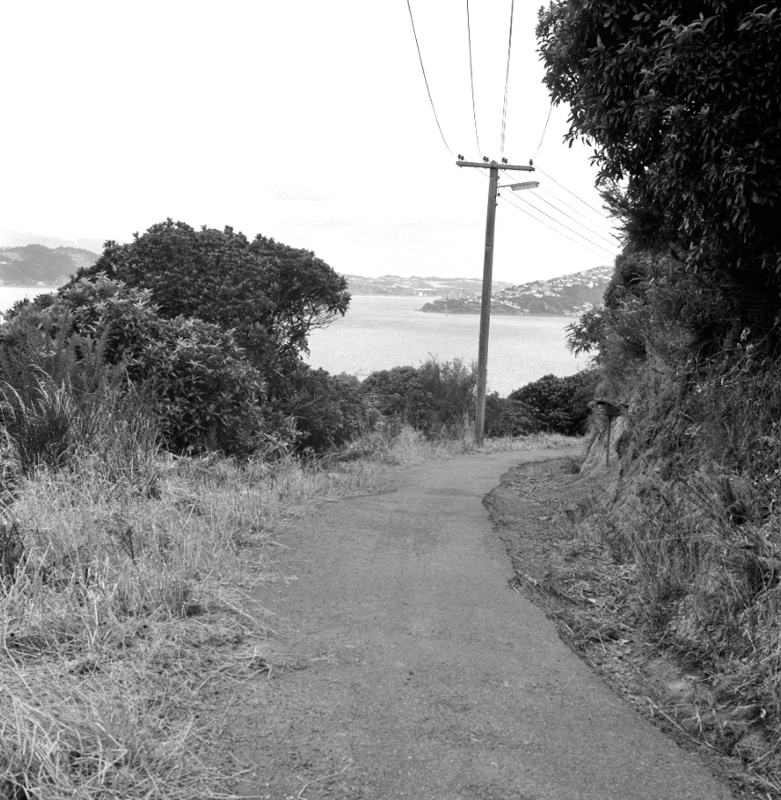 g. Bridle Track, Khandallah to Kaiwharawhara