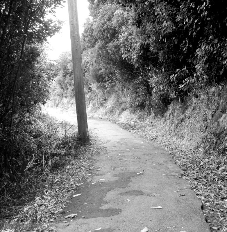 h. Bridle Track, Khandallah to Kaiwharawhara