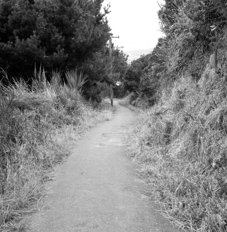 i. Bridle Track, Khandallah to Kaiwharawhara