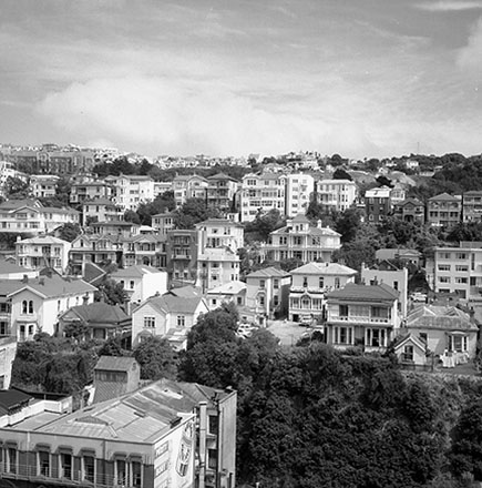 a. View from the D L I Building