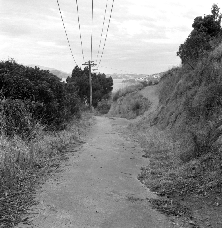 j. Bridle Track, Khandallah to Kaiwharawhara