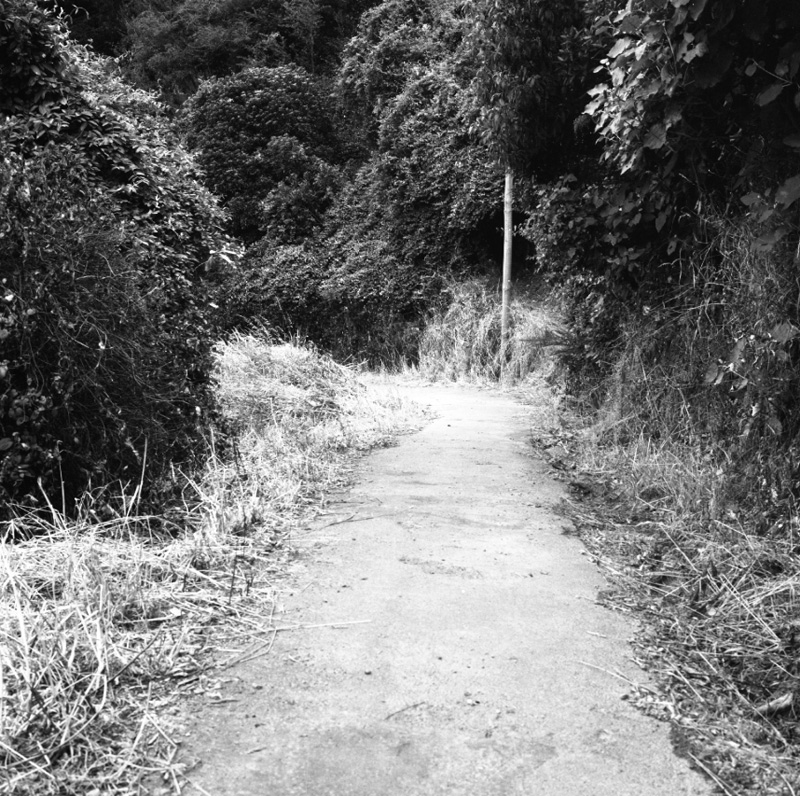 k. Bridle Track, Khandallah to Kaiwharawhara