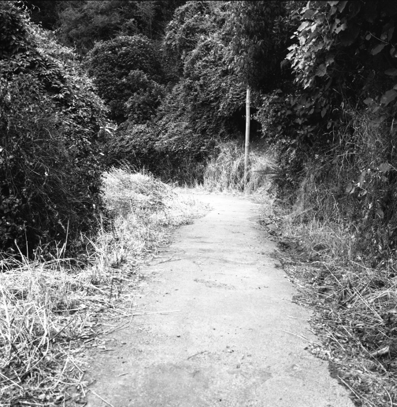 l. Bridle Track, Khandallah to Kaiwharawhara