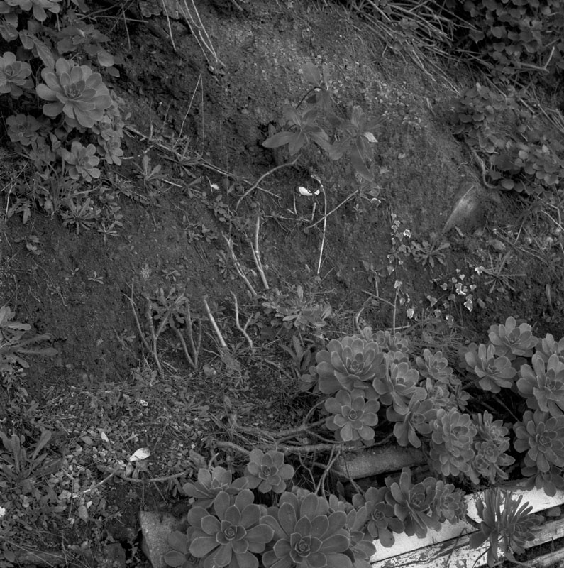 b. No 17 Irvine St, drainage