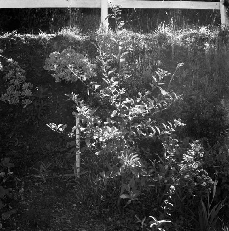 c. No 17 Irvine St, drainage