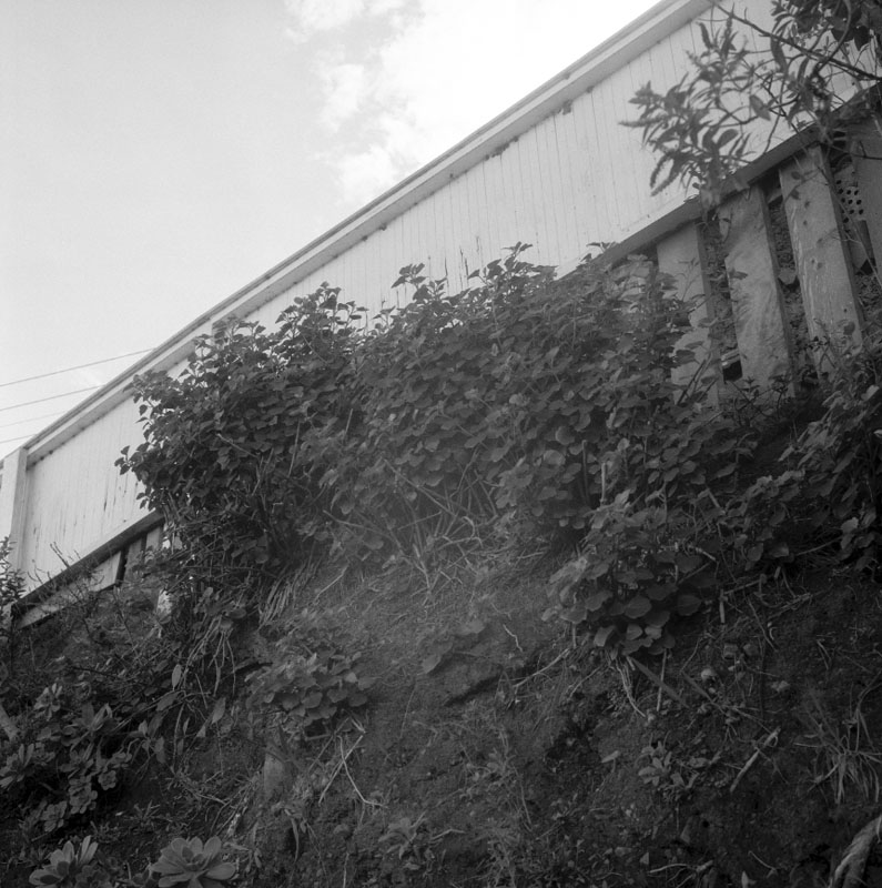 f. No 17 Irvine St, drainage