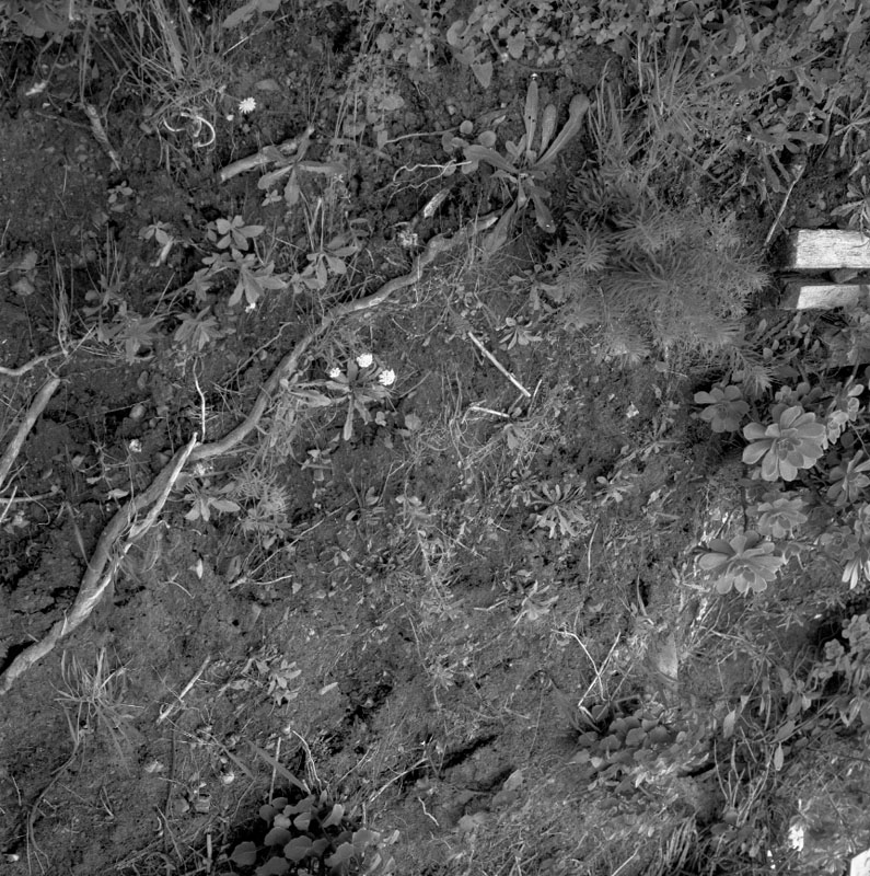 g. No 17 Irvine St, drainage