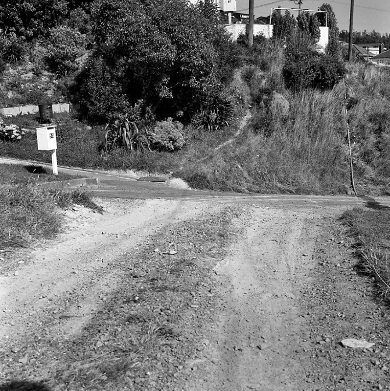 a. Houses and accesses, Donald St