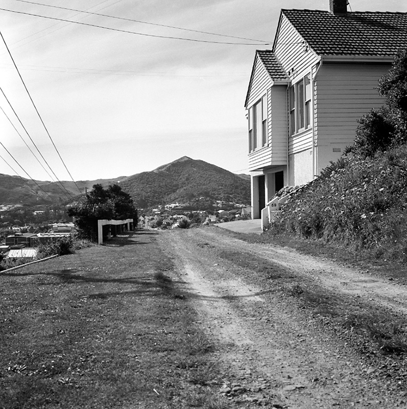 b. Houses and accesses, Donald St