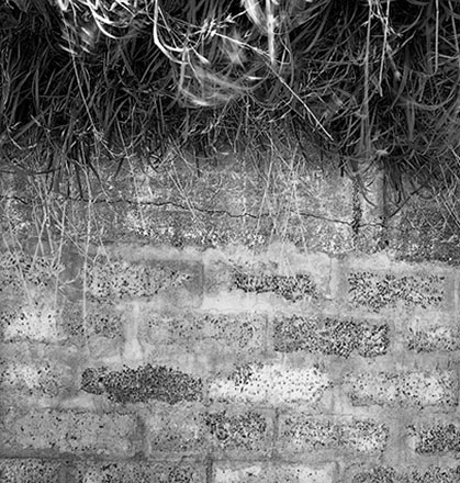 c. Drainage, Job 9880. Drainage Reserve Trunk Sewer Relay