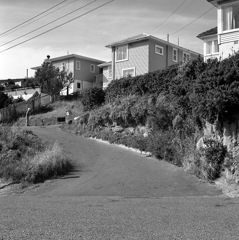 d. Houses and accesses, Donald St