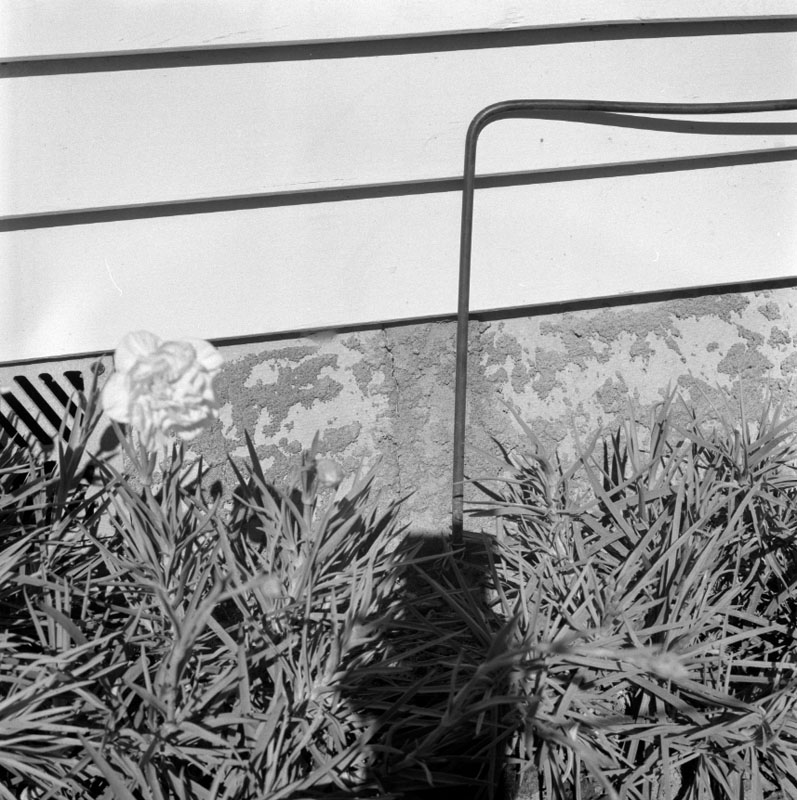 b. No 607 Evans Bay Parade, cracks in foundations