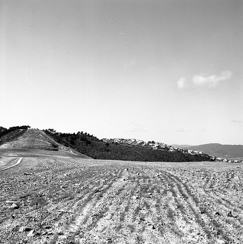 d. Views from Townsend Estate