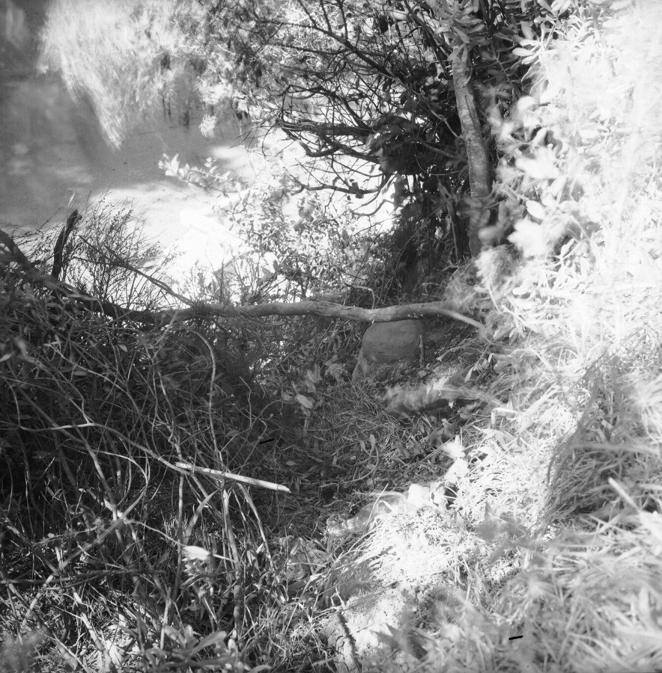 a. No 23 Wadestown Road