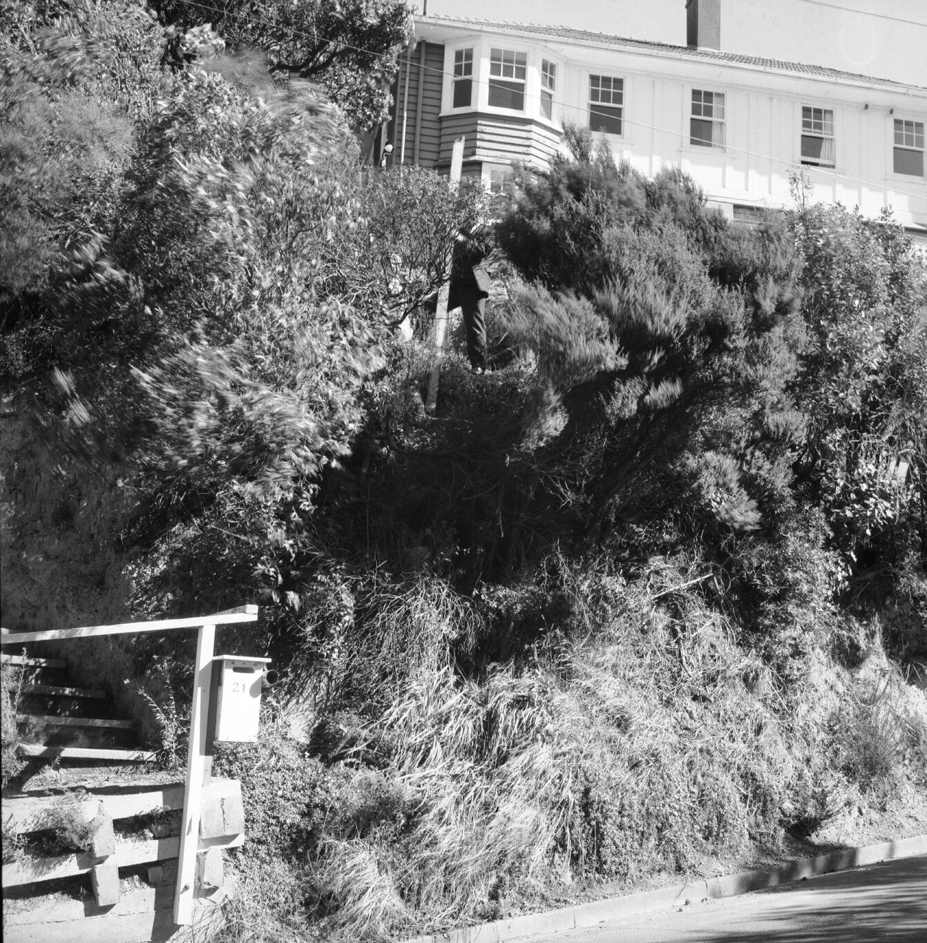 b. No 23 Wadestown Road