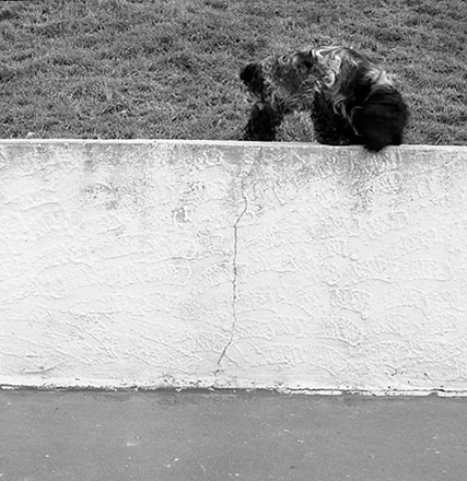 e. Drainage, Job 9880. Drainage Reserve Trunk Sewer Relay