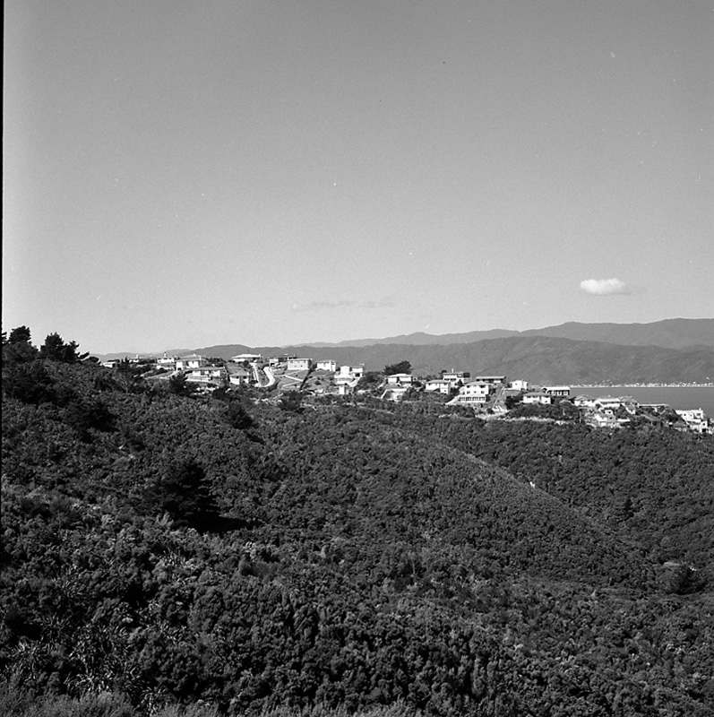 h. Views from Townsend Estate