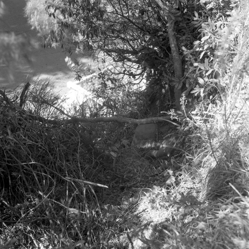 c. No 23 Wadestown Road