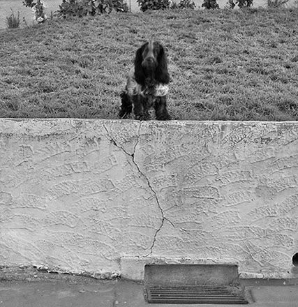 f. Drainage, Job 9880. Drainage Reserve Trunk Sewer Relay