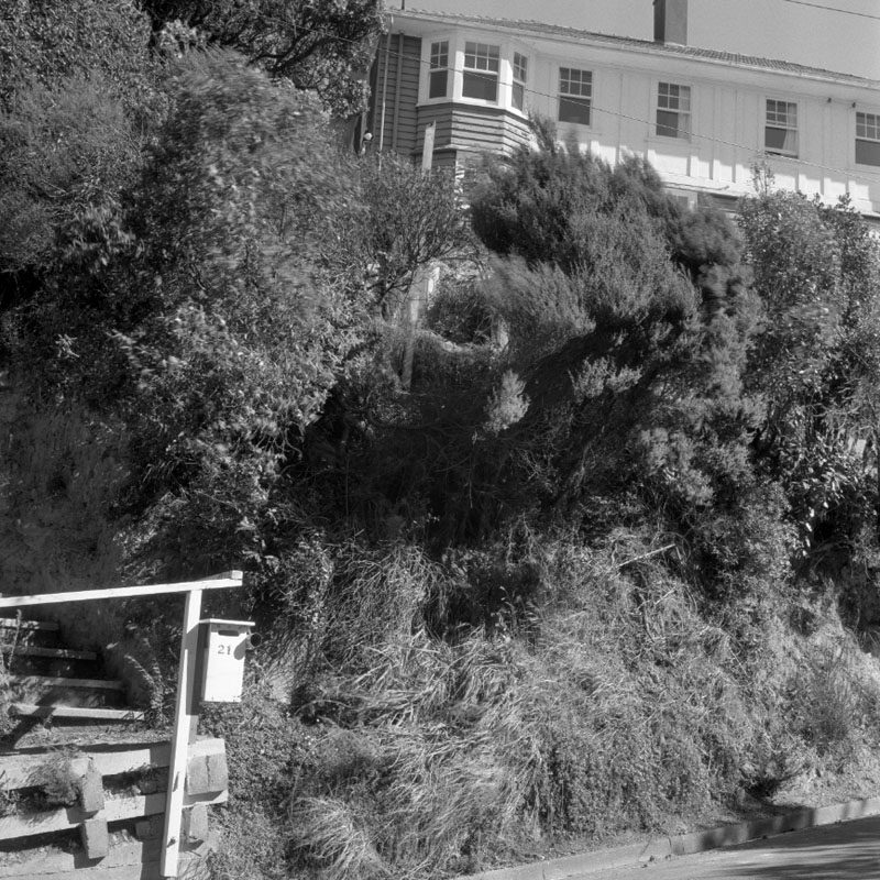 d. No 23 Wadestown Road