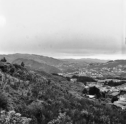 e. Views of residential area