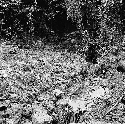 f. Views of residential area