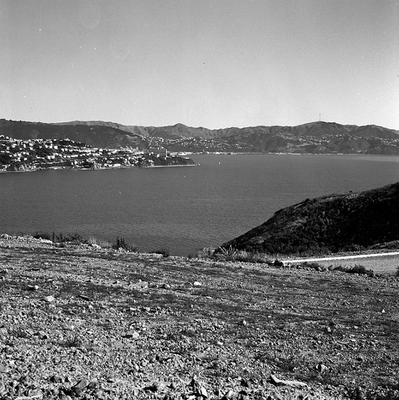 d. Views from Townsend Estate