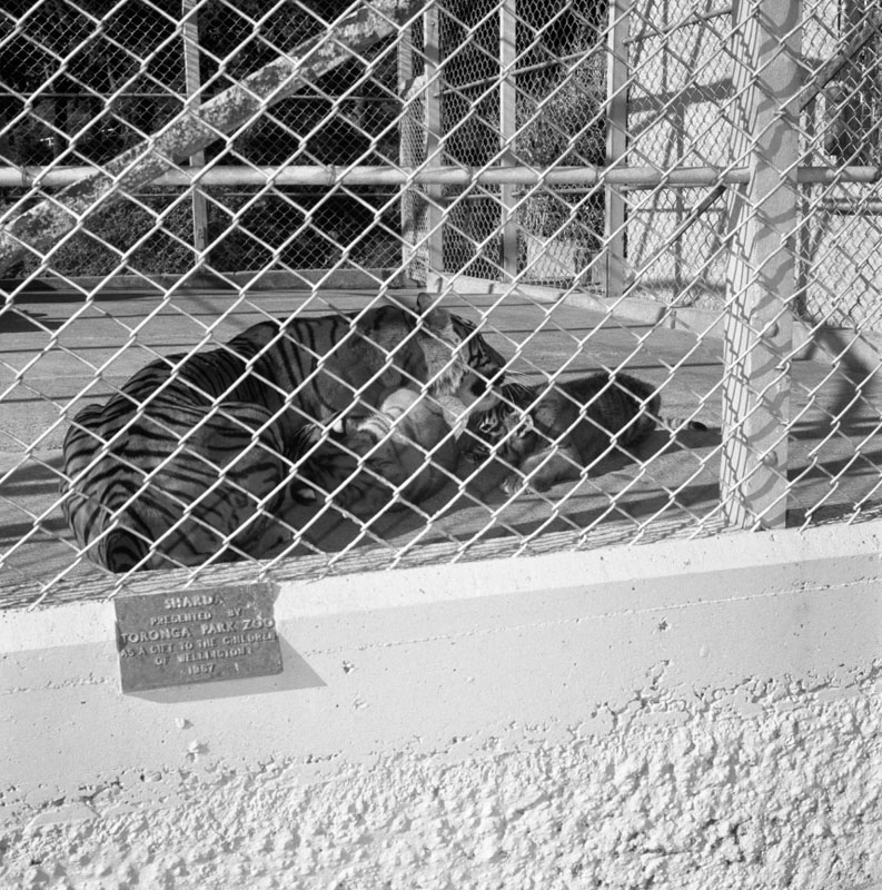 b. Zoo pictures for Councilman