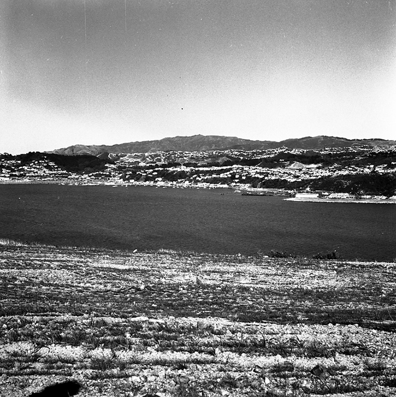 e. Views from Townsend Estate